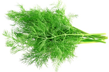 Dill