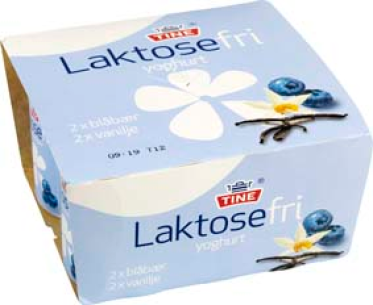 Laktosefri yoghurt blåbær