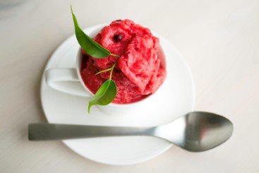 Brigebærsorbet